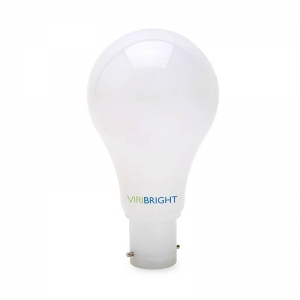Light Bulb, A19 B22